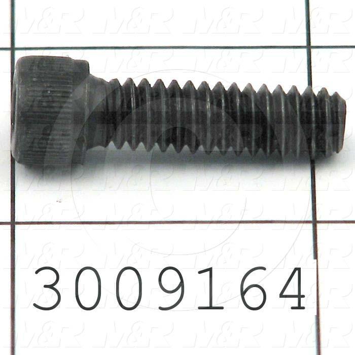 Machine Screws, Socket Head, Steel, Thread Size 1/4"-20, Screw Length 7/8 in., Full Thread Length, Right Hand, Black Oxide