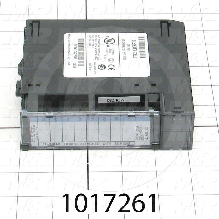 Output Module, 8 Outputs, 24VDC