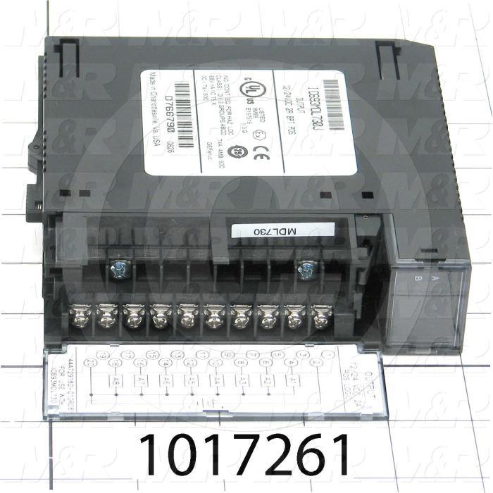 Output Module, 8 Outputs, 24VDC