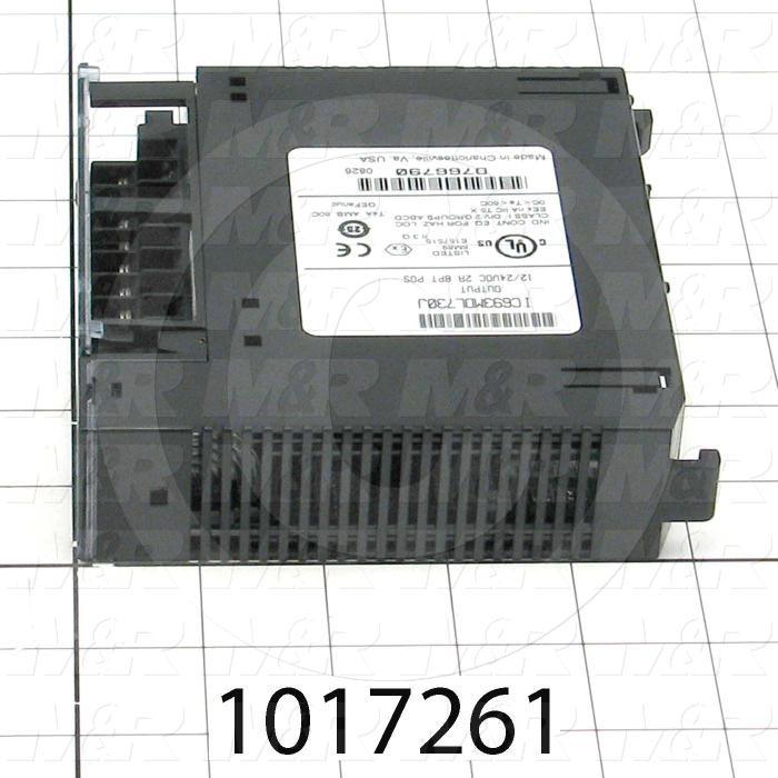 Output Module, 8 Outputs, 24VDC