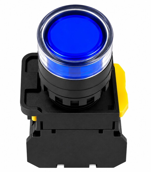 Pushbutton Switch, ILLUMINATED PUSHBUTTON, Maintained, Round, 22mm, Blue, 2NO, LED, 24V