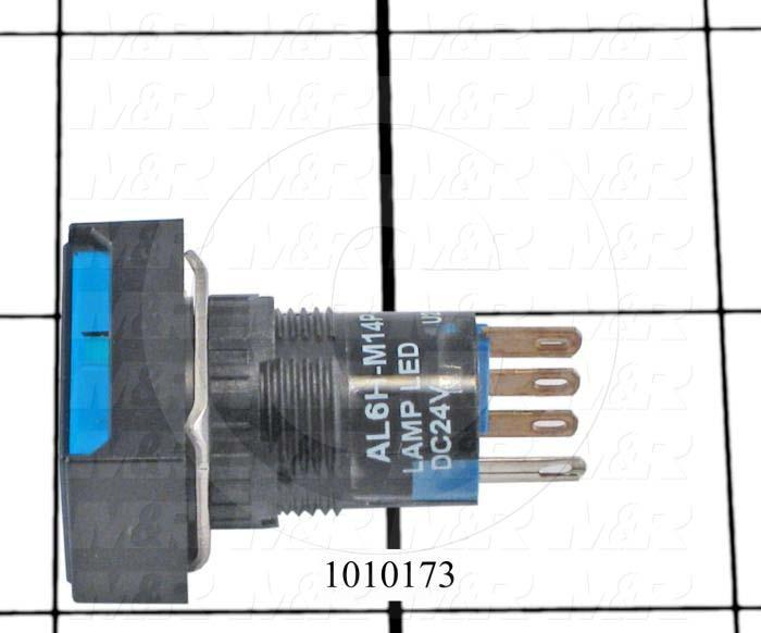 Pushbutton Switch, Momentary, Rectangle, Blue, DPDT, Incandescent, 24V