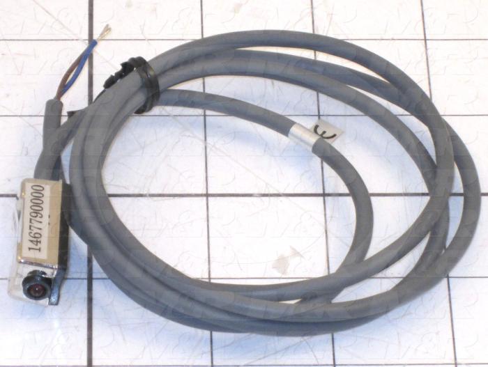 Reed Switch, 2 Wire