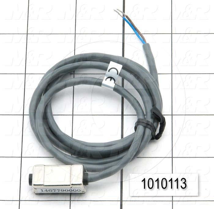 Reed Switch, 2 Wire
