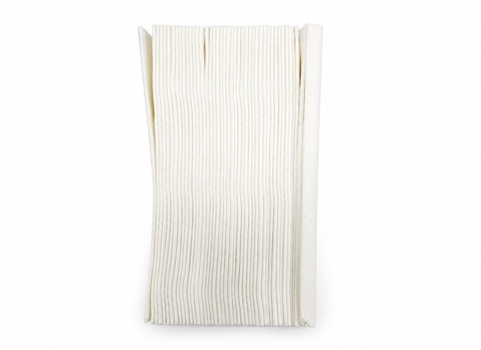 WYPALLS L40 SCREEN WIPES